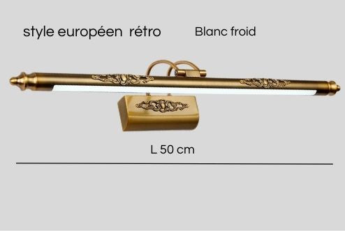 applique mural salle de bain 50 cm blanc froid