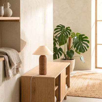 lampe de table sejour avec plante rotin tresse main