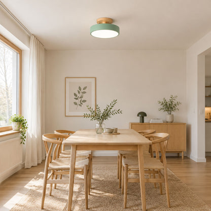 plafonnier macaron au design compact vert salle manger